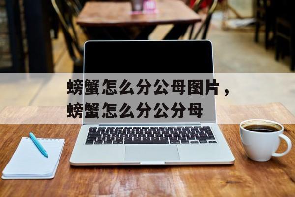 螃蟹怎么分公母图片，螃蟹怎么分公分母-第1张图片-