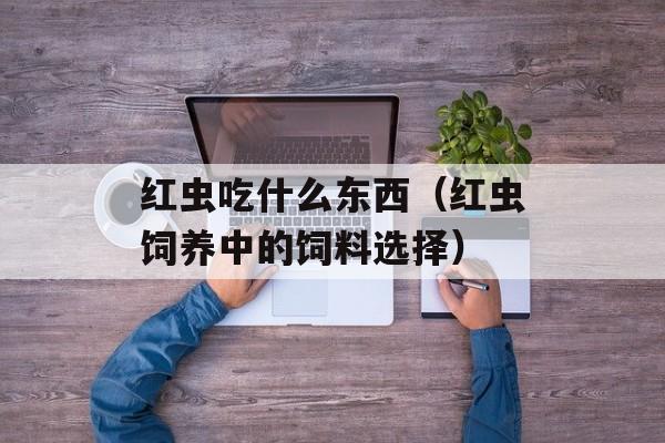 红虫吃什么东西（红虫饲养中的饲料选择）-第1张图片-