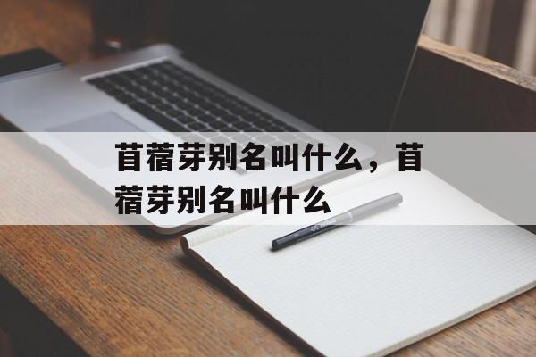 苜蓿芽别名叫什么，苜蓿芽别名叫什么-第1张图片-