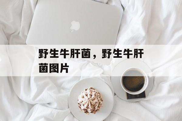 野生牛肝菌，野生牛肝菌图片-第1张图片-