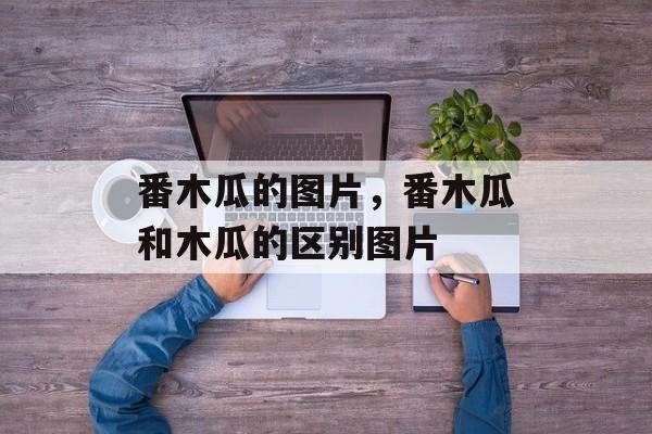 番木瓜的图片，番木瓜和木瓜的区别图片-第1张图片-