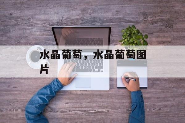 水晶葡萄，水晶葡萄图片-第1张图片-