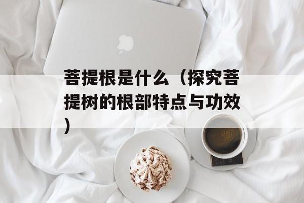菩提根是什么（探究菩提树的根部特点与功效）-第1张图片-