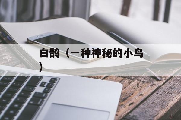 白鹊（一种神秘的小鸟）-第1张图片-