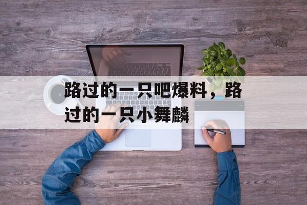 路过的一只吧爆料，路过的一只小舞麟-第1张图片-