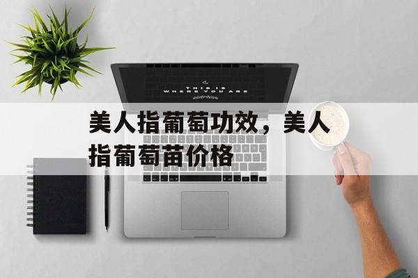 美人指葡萄功效，美人指葡萄苗价格-第1张图片-