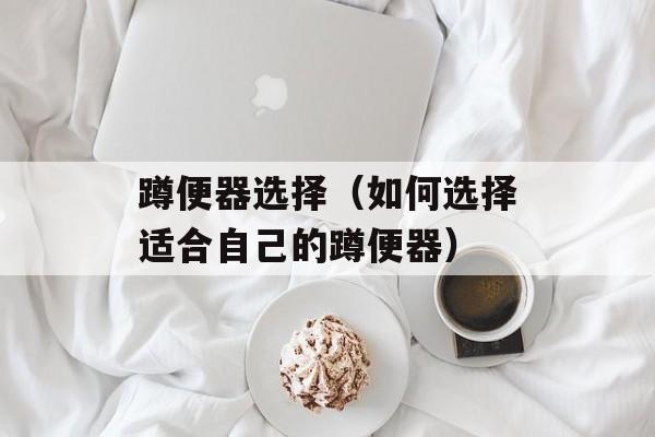 蹲便器选择（如何选择适合自己的蹲便器）-第1张图片-