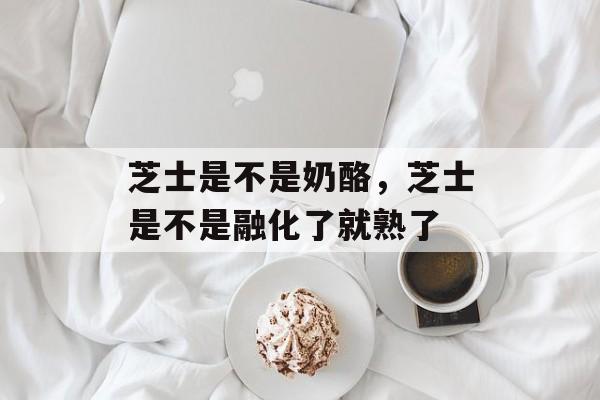 芝士是不是奶酪，芝士是不是融化了就熟了-第1张图片-